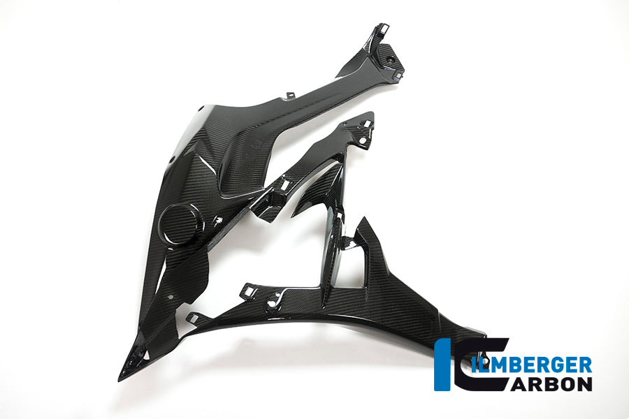 Radiatorcover incl. logo-drager links carbon BMW S1000XR Sport SE (2018-2019)