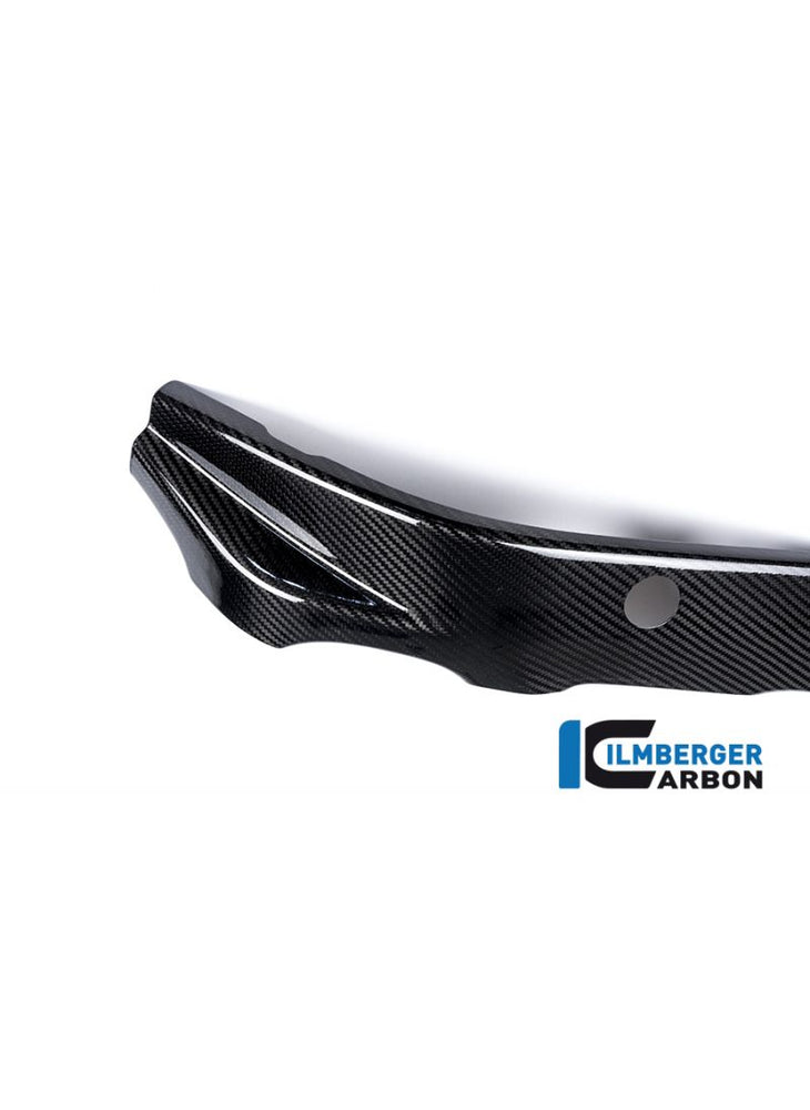 Links de carbono Framecover BMW S1000R (2013-2016)