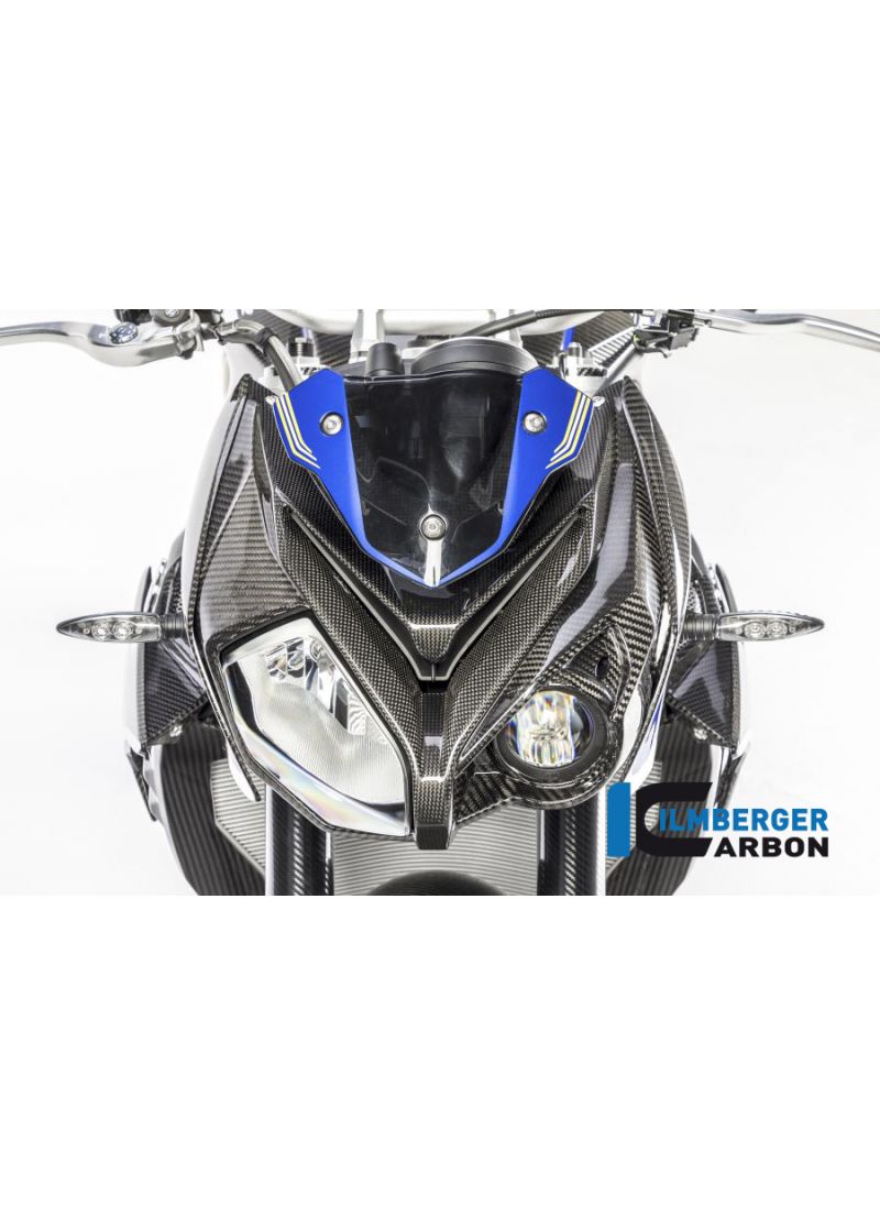 Carbon-Scheinwerfer-Panel rechts BMW S1000R (2017-2020)