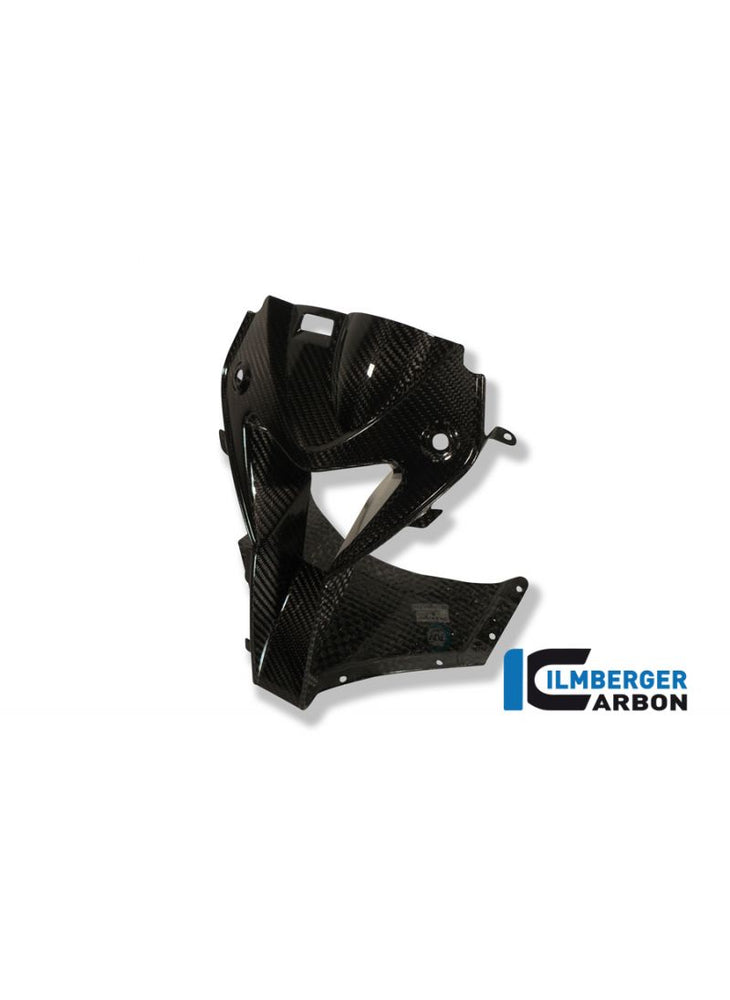 Carbon Air Inlet Infront Cowl BMW HP4 1000RR (2013-2014)