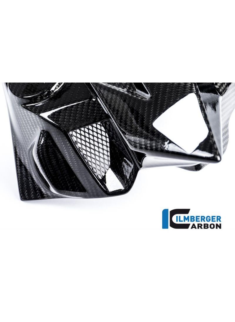 Enlaces de cubierta del radiador de carbono BMW S1000R (2013-2016)