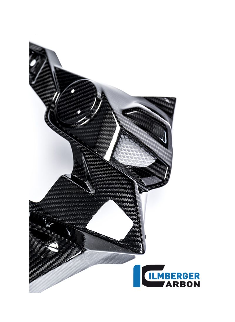 Cubierta del radiador de carbono BMW S1000R (2013-2016)