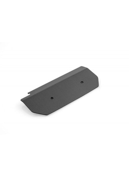 Carbon beschermer horizontale cilinder Ducati Multistrada 1200 S Touring (2010-2014)