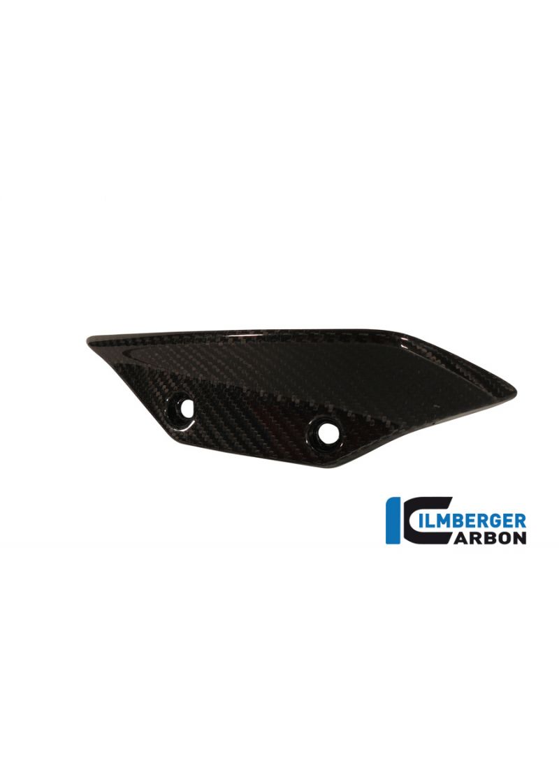 Carbon Spoiler (Flügel) Seitenkanone Links BMW HP4 1000RR (2013-2014)