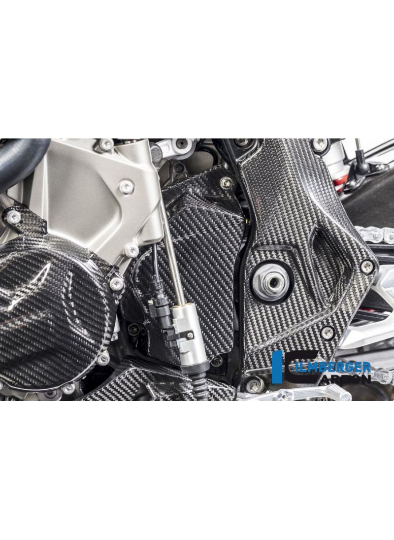 Cubierta de engranaje de carbono BMW S1000R (2013-2016)