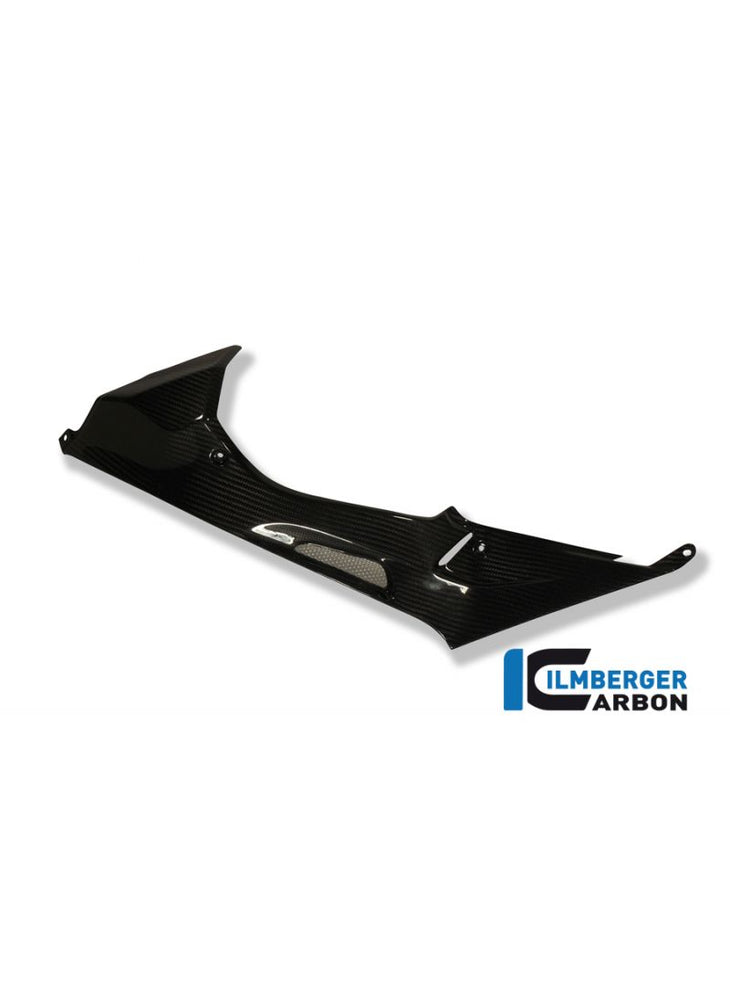 Carbon fuel panel left BMW HP4 1000RR (2013-2014)