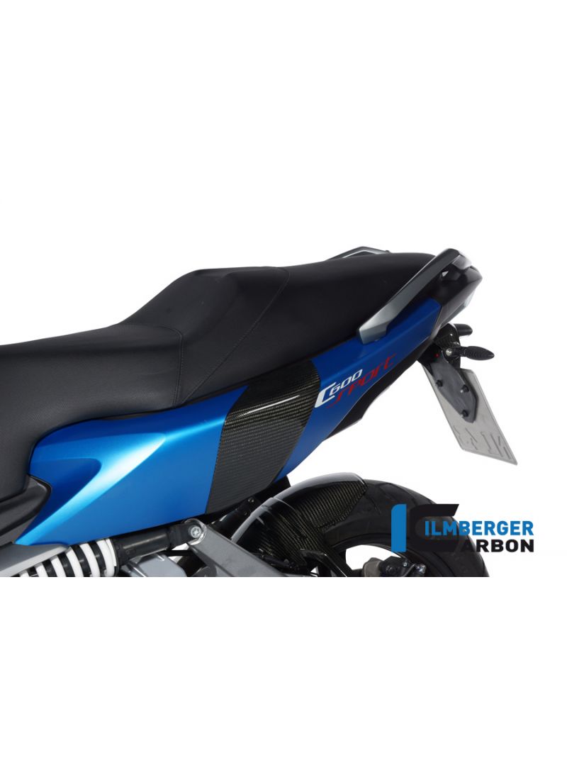 Carbon valbeschermers achterzijde BMW C 600 Sport (2011+)