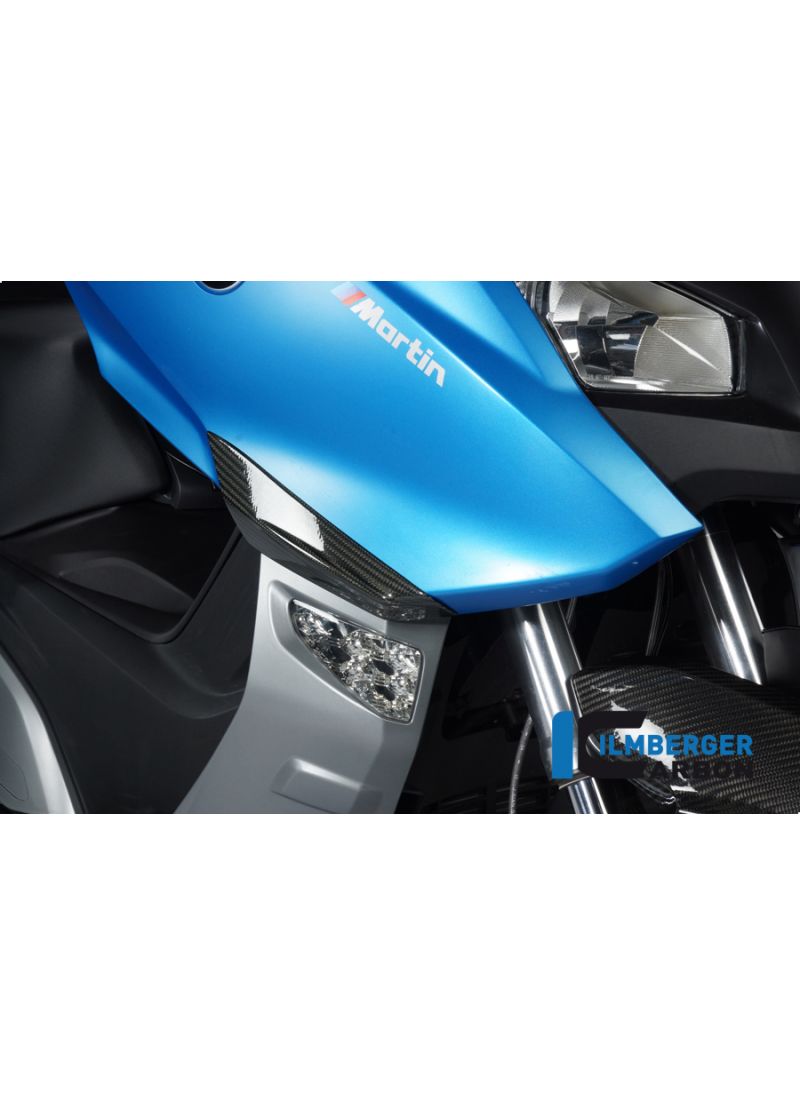 Carbon valbeschermers voorzijde BMW C 600 Sport (2011+)