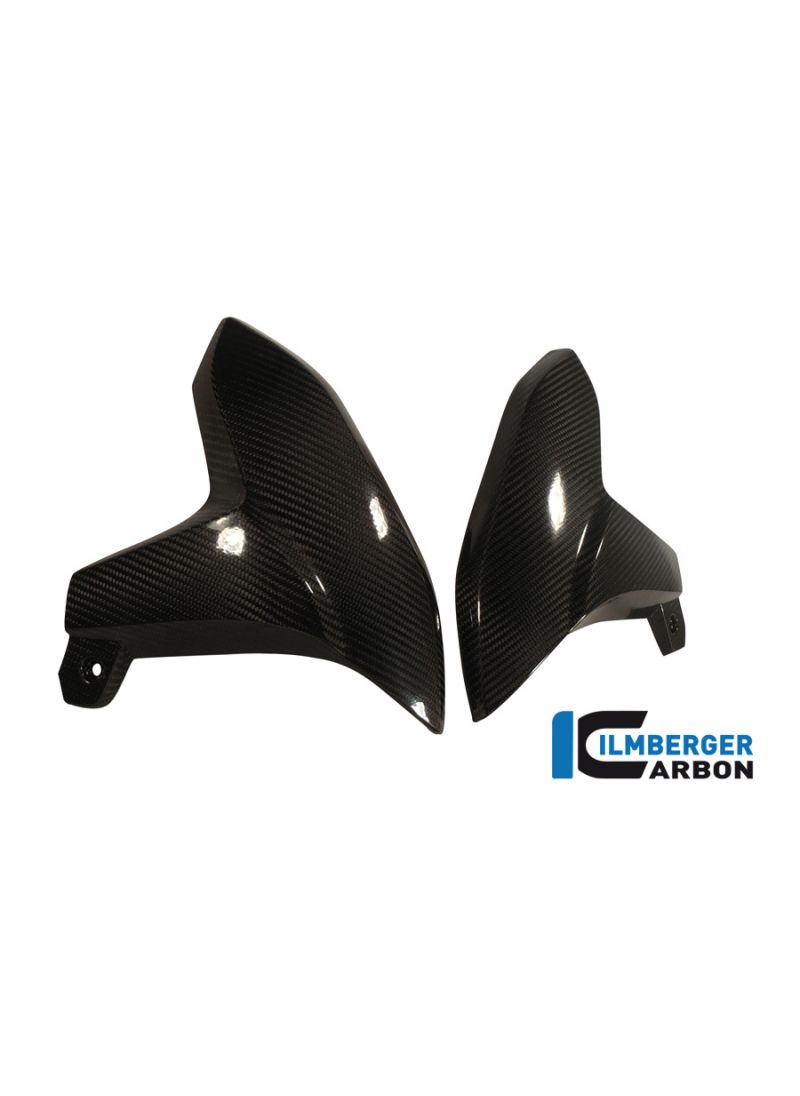 CarbonFront fender BMW C 600 Sport (2011+)