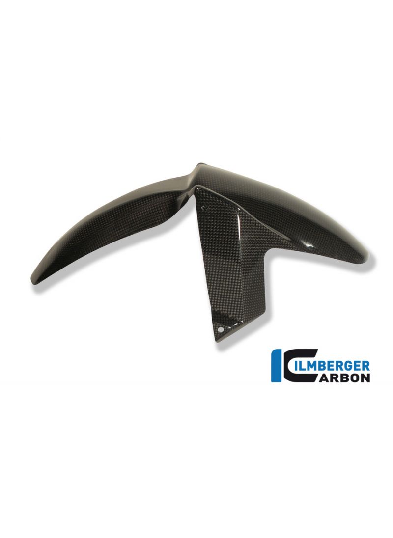 Carbonfront Fender BMW F 800 GT (2013-2018)