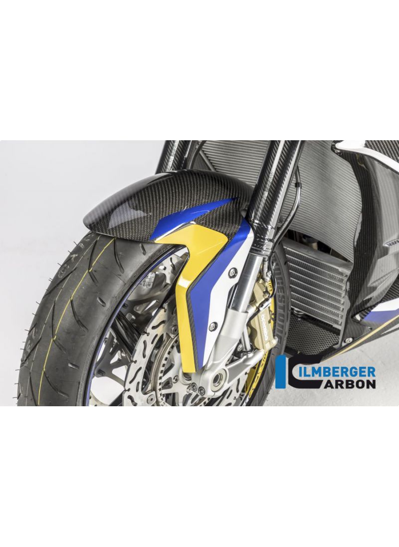 Carbonfront Fender BMW S1000R (2013-2016)