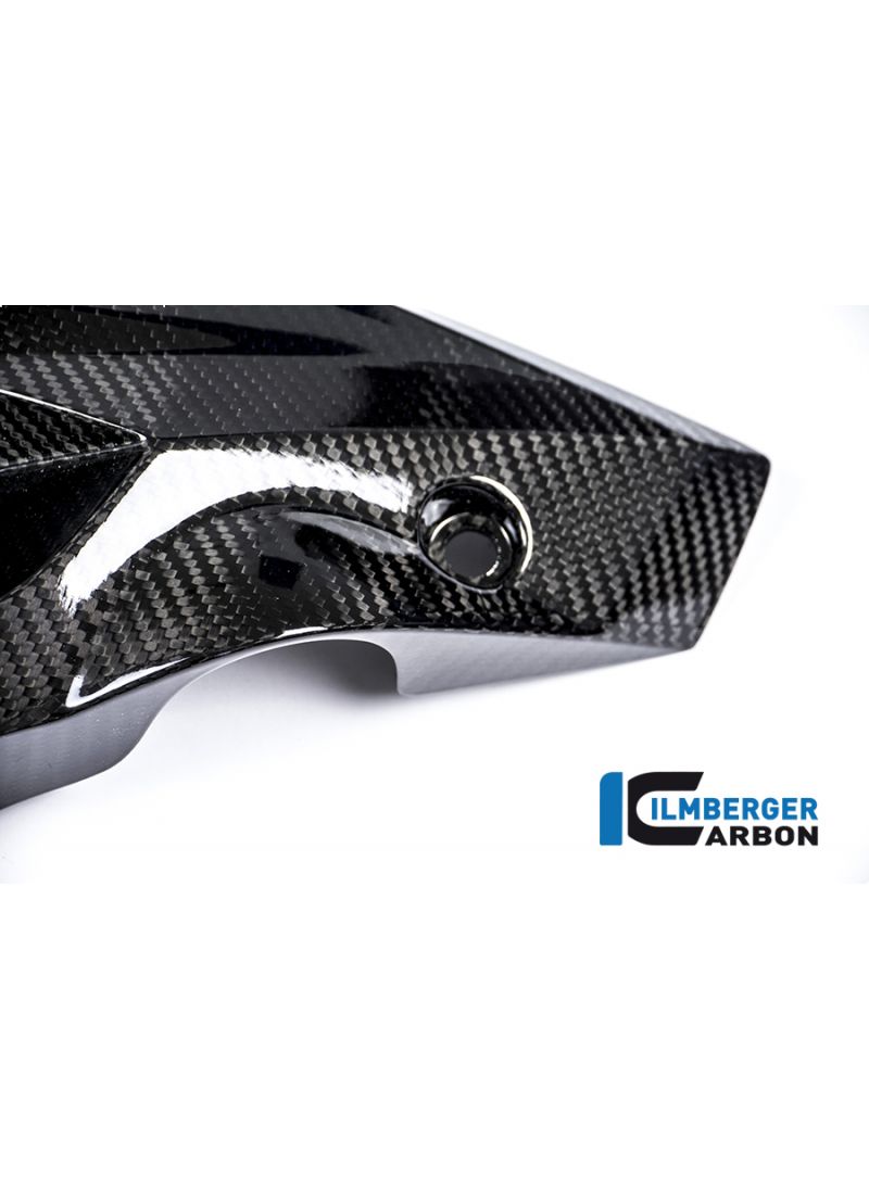 Carbonside Cowl Left BMW S1000R (2013-2016)