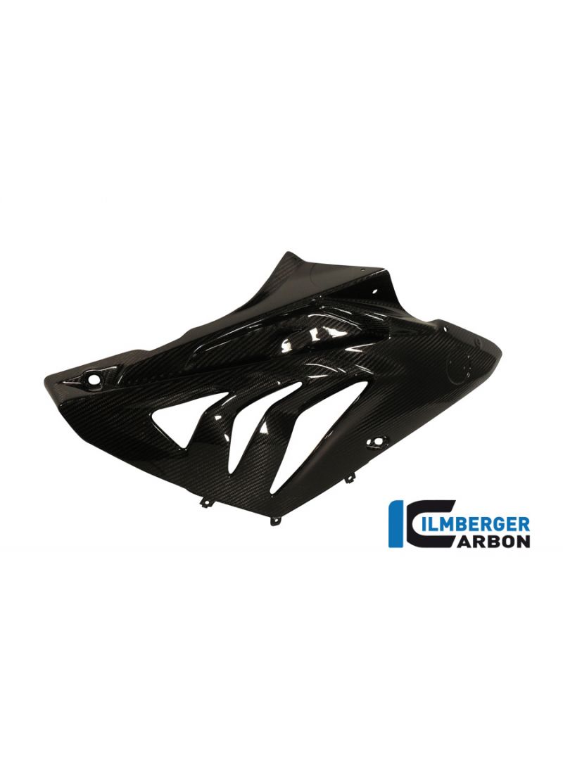 Carbonside Cowl Right BMW HP4 1000RR (2013-2014)