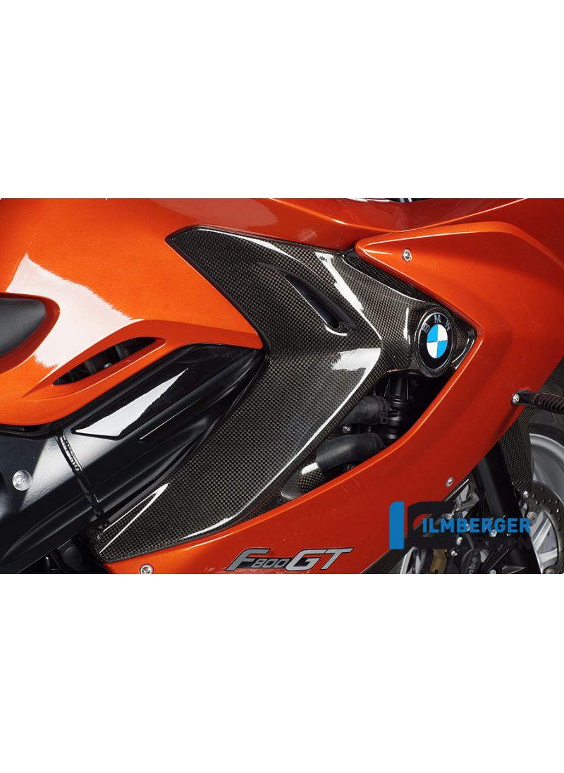 Carbon Zijpaneel INSERT BMW F 800 GT (2013-2018)