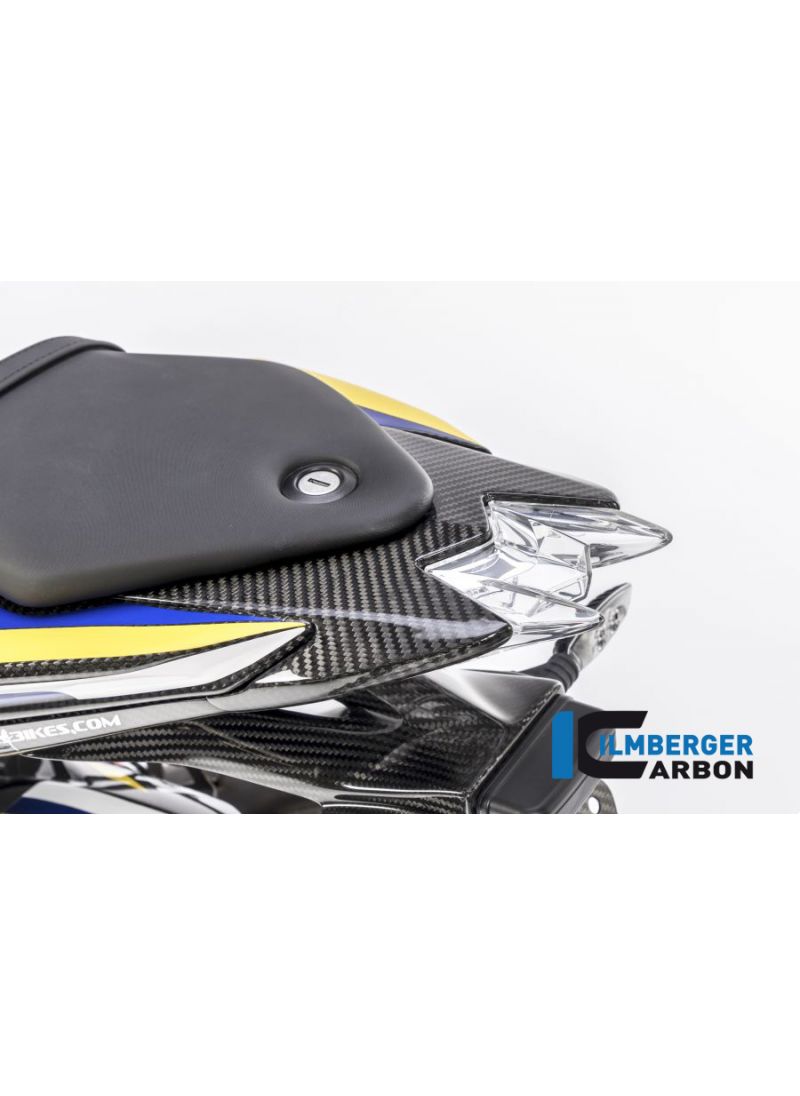 CarbonSide panel left side onder het zadel BMW S1000R (2013-2016)