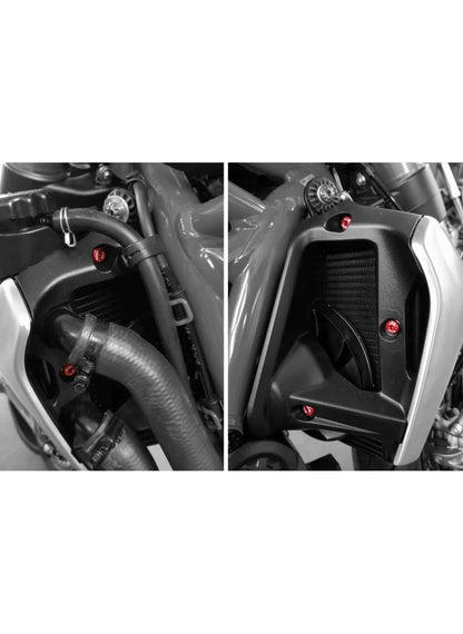 CNC Racing Radiator Side Panel Screw Kit Ducati Monster 1200 25 Anniversario (2020)
