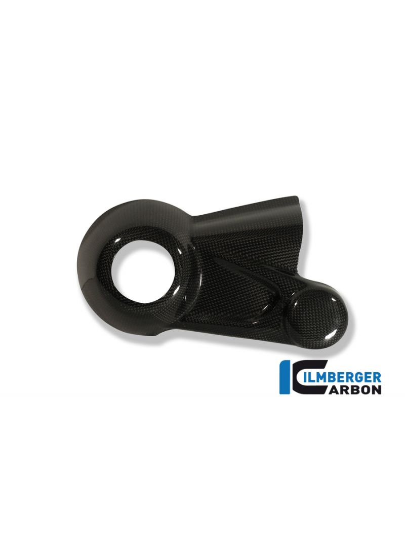 Drive Housing Order Cover Carbon R1200GS (2008-2009)