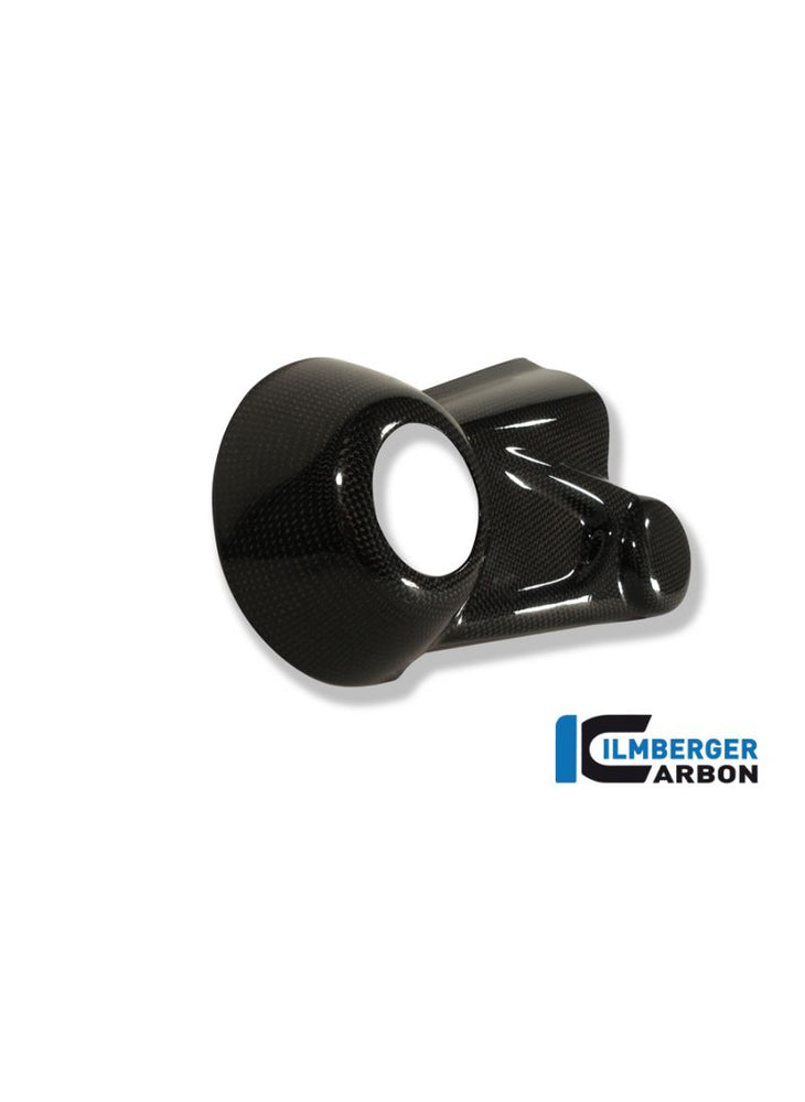 Cover Cardanas Housing Carbon R1200R (2011-2015)