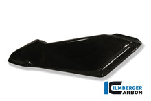 Onderste tank covers (set) carbon MV Agusta Brutale 750S (2021+)