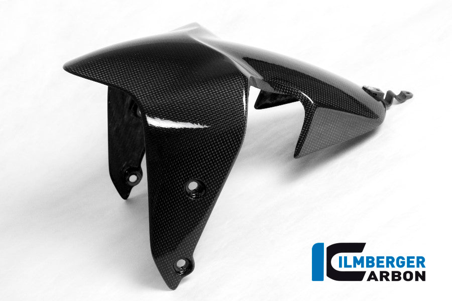 Voorspatbord glanzend carbon Ducati Monster 1200 R (2016-2019)