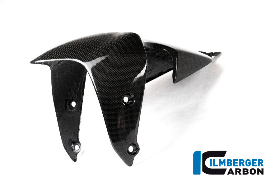 Voorspatbord glanzend carbon Ducati Monster 1200 R (2016-2019)