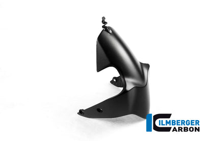Voorspatbord mat carbon Ducati Monster 1200 25 Anniversario (2020)