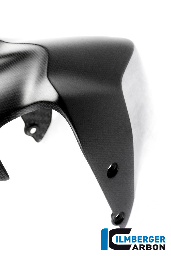 Voorspatbord mat carbon Ducati Monster 1200 S (2017-2021)