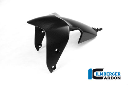 Voorspatbord mat carbon Ducati Monster 1200 (2017-2021)