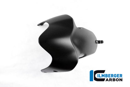 Voorspatbord mat carbon Ducati Monster 1200 S (2017-2021)