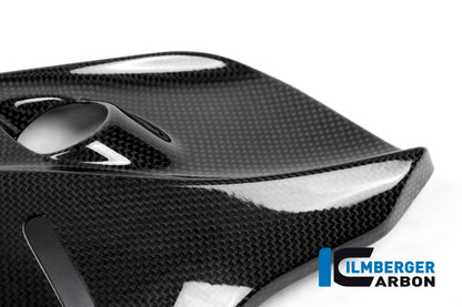 Glanzend carbon zijpaneel onder het frame rechts Ducati Monster 1200 R (2016-2019)