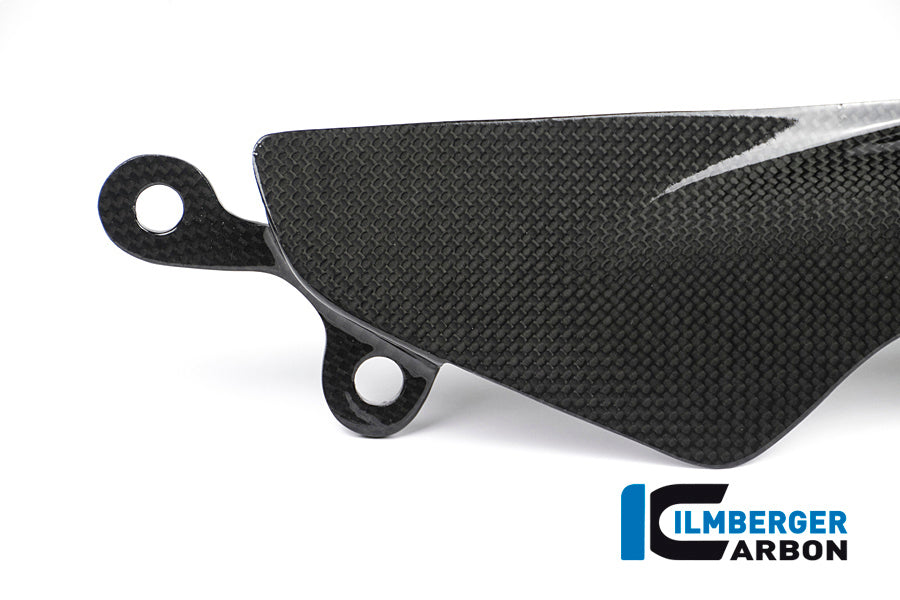 Glanzend carbon chain cover Ducati Monster 1200 R (2016-2019)