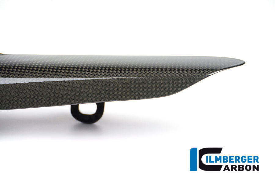 Glanzend carbon chain cover Ducati Monster 1200 R (2016-2019)
