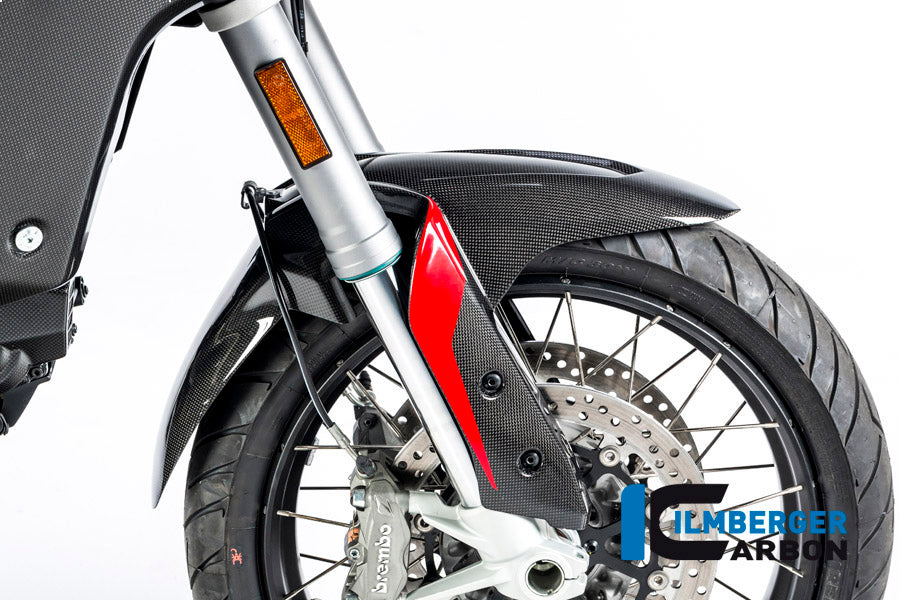 Voorspatbord glanzend carbon Ducati Multistrada Enduro 1260 (2019-2021)