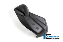 Uitlaathitteschild mat carbon Ducati Multistrada 950 (2019-2021)