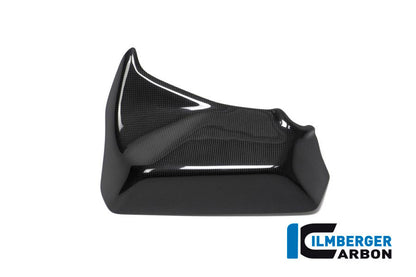 Zijkuip paneel Binnenste panel links glanzend carbon Ducati Multistrada 950 (2017-2018)