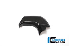 Binnenkuip links glanzend carbon Ducati Multistrada 950 (2017-2018)