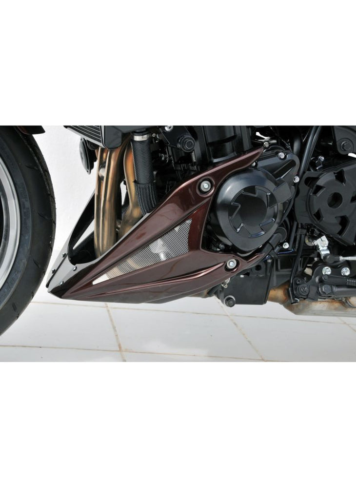 
                  
                    Ermax bellypan (engine spoiler) Kawasaki Z1000 2010-2013
                  
                