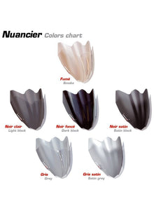 Ermax screen Aeromax for S1000RR 2015-