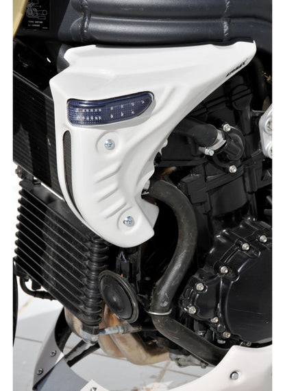 ERMAX-Kühler-Seitenpaneele Triumphgeschwindigkeit Triple 1050 2005-2007 (verkauft pro Paar)