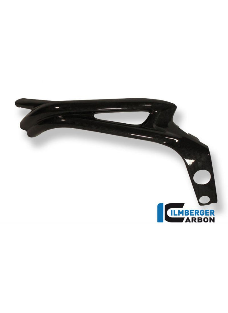 Frame cover links carbon Triumph Speed Triple 1050 (2011-2015)