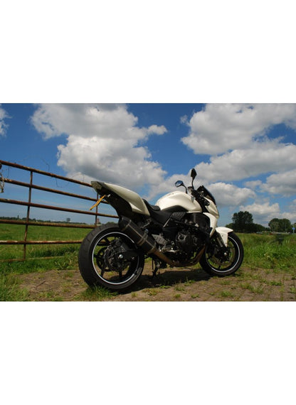 G&G Big Oval exhaust Z750 - Z750R 2007-2013