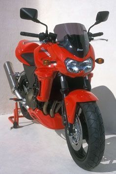 Ermax windscherm (31cm) Kawasaki Z1000 (2003-2006)