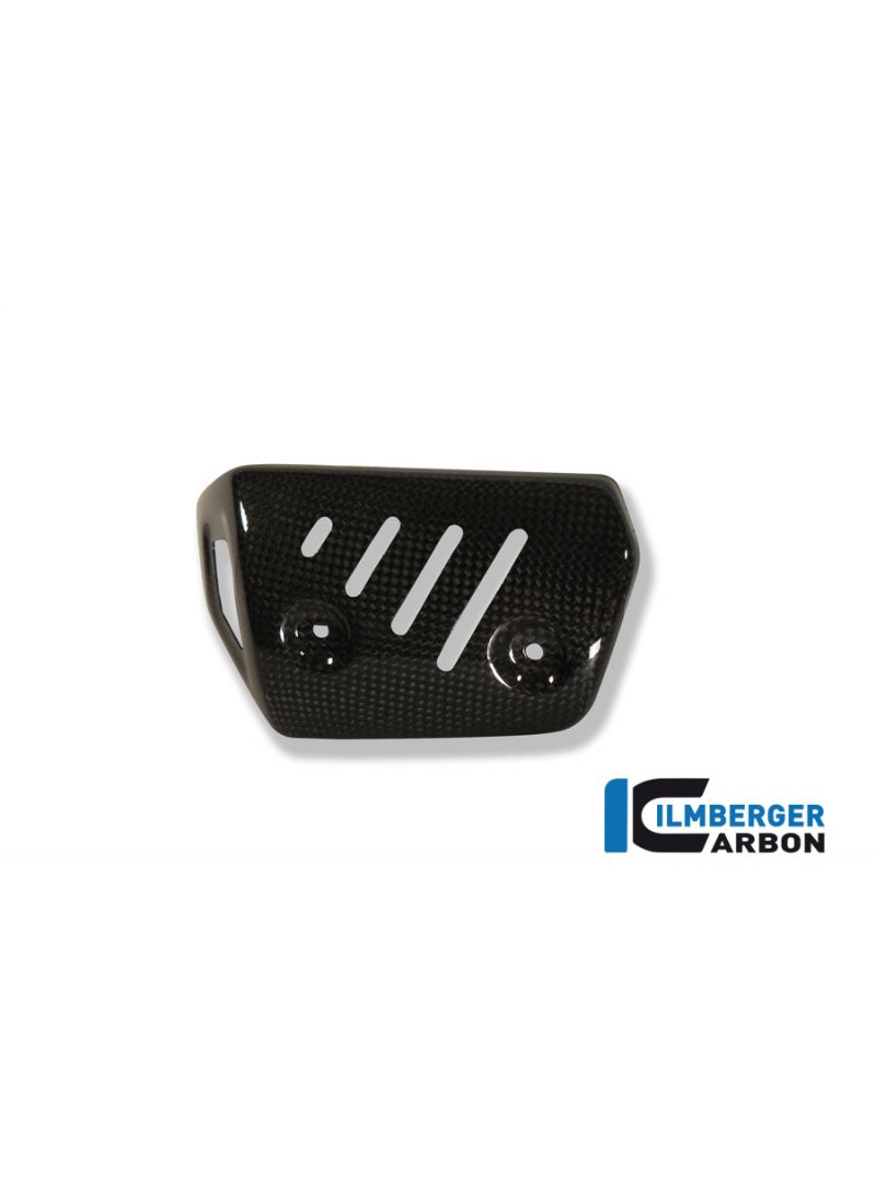 Escudo de calor del encabezado de escape Carbon BMW F 800 R (2009-2011)