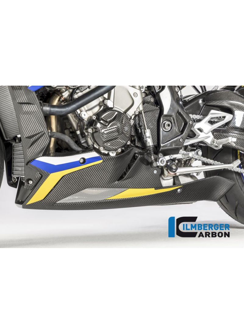 Alternator Cover Carbon BMW S1000XR Sport SE (2018-2019)