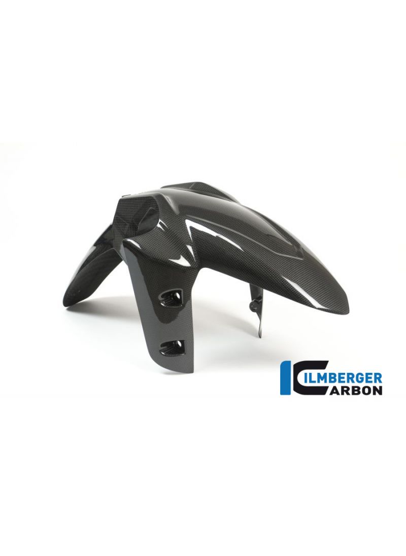 Front Mudguard gloss surface - Ducati Multistrada DVT (2015-onwards)