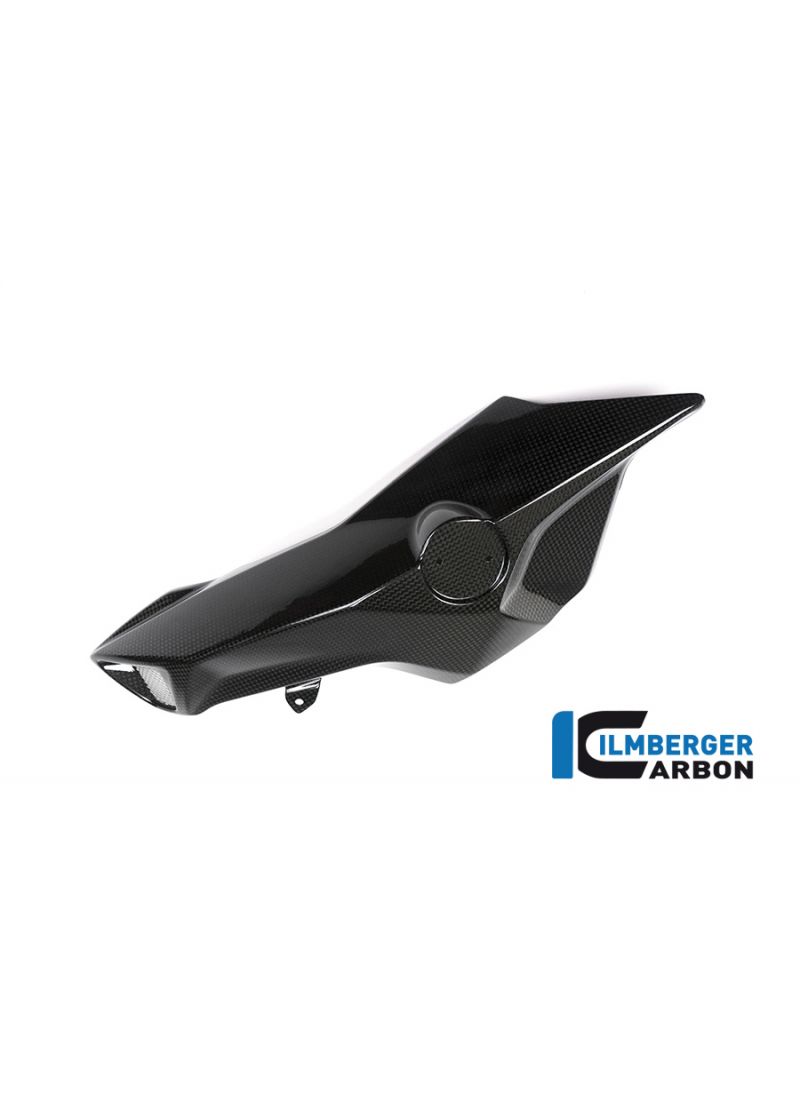 Airtube Cover (left Side) - BMW F 800 R (2015-onwards)