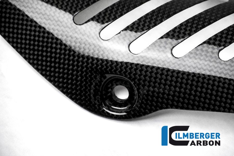 
                  
                    Glossy Carbon Header Heat Shield Ducati Monster 1200S (2014-2016)
                  
                