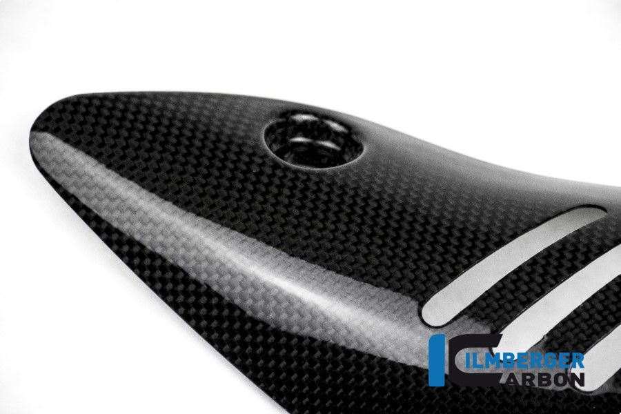 
                  
                    Glossy Carbon Header Heat Shield Ducati Monster 1200S (2014-2016)
                  
                