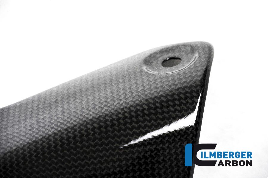 
                  
                    Glossy carbon heel protector on the exhaust Monster 1200 Ducati Monster 1200 S (2014-2016)
                  
                