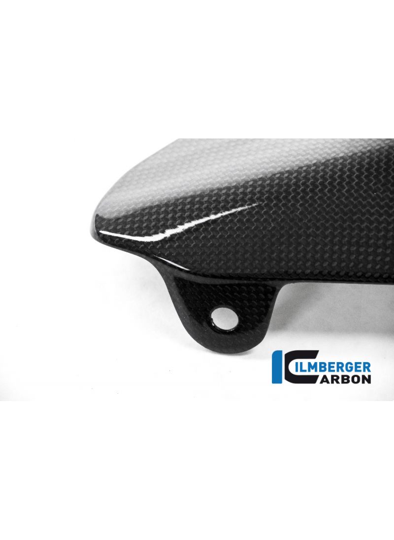 Glossy Carbon All Protector på avgaserna Ducati Monster 1200S (2014-2016)